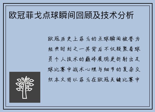 欧冠菲戈点球瞬间回顾及技术分析